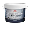 paintmaster 9 liter